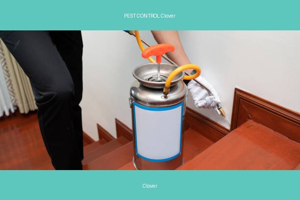 PEST CONTROL Clover